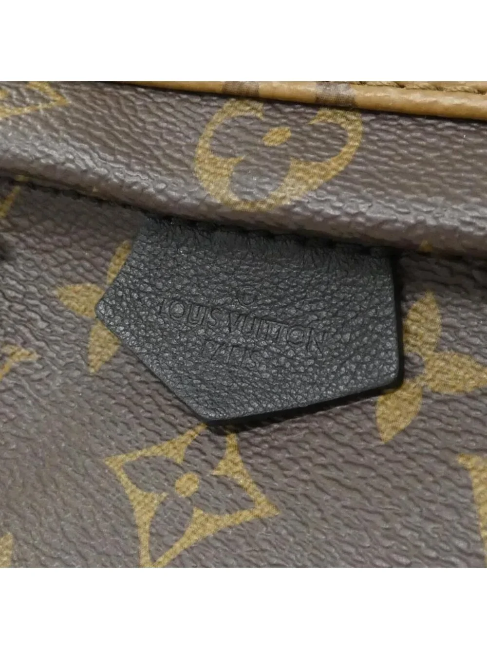 Louis Vuitton Monogram Reverse Palm Springs Backpack Mini